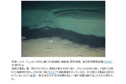 巨大断層がくっきり！ 「しんかい6500」による東日本大震災震源域の海底写真公開