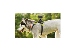 犬目線の撮影も可能！ ソニー、サーフボードマウントなどアクションカメラ用アクセサリ8製品 画像