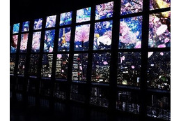 プロジェクションマッピングで“夜桜”見物、東京タワーで開催