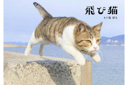 『飛び猫』写真展が開催！「春の飛び猫写真展　全国巡回」栃木・福島・京都の3都市で！ 画像