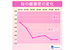日本の桜が危ない？！健康度は昨年に続き過去最悪を継続