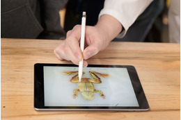 Apple Pencil対応の新しいiPad登場……9.7型で37,800円から 画像