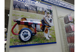 【Interpets（インターペット） 2018】アニマルオルソジャパン、犬用車いす「AOJカート」をアピール