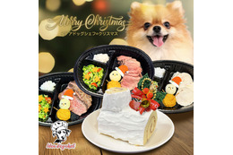 愛犬と特別なディナーが楽しめる！高級食材を使ったクリスマス限定メニューが登場