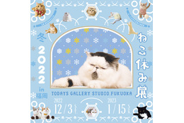 スター猫の愛らしい姿が拝める「ねこ休み展 冬 2022 in 福岡」開催！ねこ休み福袋も限定登場