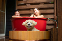 日本初！？愛犬と楽しめる露天風呂付きプレミアムヴィラが「フォレストヒルズ那須」にオープン！ 画像