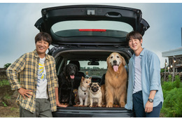 ユ・ヨンソク＆チャ・テヒョンが15年ぶり共演！犬と人間の絆を描いた『マイ・ハート・パピー』ティザービジュアル公開 画像