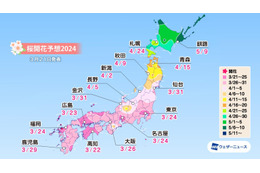 ウェザーニューズ、今週末から桜開花スタート！トップは高知で3月22日、東京は24日予想 画像