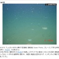 【参考】2006年6月撮影の同海域の海底写真。亀裂は見られない