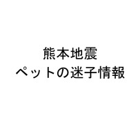 「見つけたら連絡お願い！」熊本地震で迷子のペット多数 画像