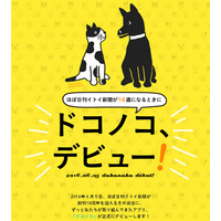 糸井重里「ほぼ日」初のアプリは、犬猫写真の収集アプリ「ドコノコ」 画像
