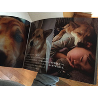 保護犬写真集のクラウドファンディングがスタート 画像