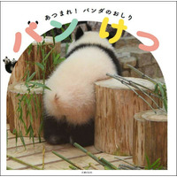 1冊まるごとパンダのおしり写真ばかり！写真集『パンけつ』発売 画像