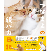 SNSで人気の保護猫「つな」と「まよ」、フォトブックが発売決定 画像