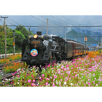 ガリガリ君と秩父鉄道が10回目コラボイベント開催！SL運行やアイスバープレゼントなど 画像