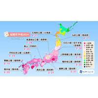 桜開花トップは東京の3月18日！平年より早まる見込み 画像