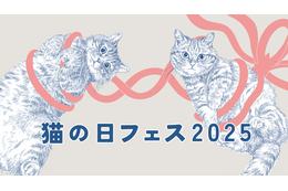 国分寺＆柏マルイで「猫の日フェス」開催！猫モチーフのグルメやグッズ大集合