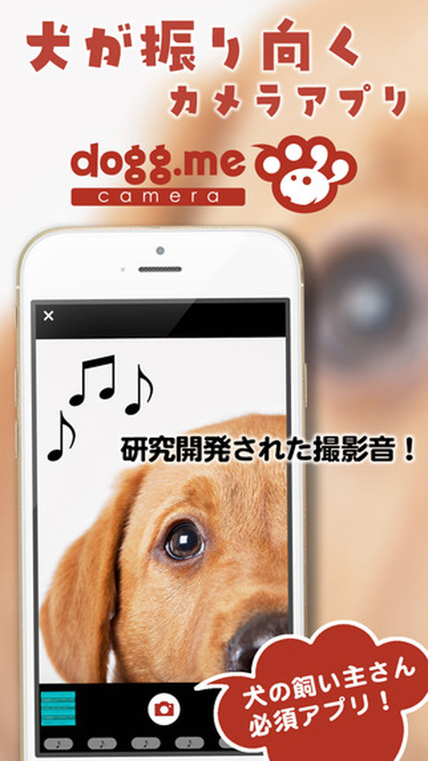 迷子犬を探せる顔認証機能 愛犬をカメラ目線で撮影できるアプリ Dogg Meカメラ に追加 Rbb Today
