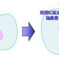 新「明瞭ボイス」効果のイメージ図