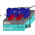 シリコンナノワイヤの基本構造