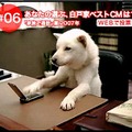 キャンペーン期間中に40本のCM動画を公開する予定。まずは10本が公開された