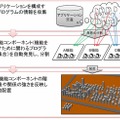 ソフトウェア地図の作成ステップ