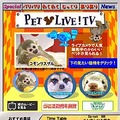 かわいい動物たちの様子をSo-net TVがライブ配信〜ミーアキャット、フェレット、コモンリスザル、etc.