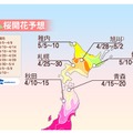 桜開花予想（4月8日時点）