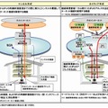 IPv6インターネット接続機能の概要