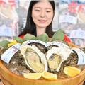 天然岩ガキ「夏輝」