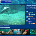 コミュファ光水族館「ベルーガプール」