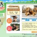 パワードコム、かわいい犬の映像満載の「Powerbroadわんチャンネル！」