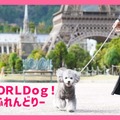 WORLDog！ふれんどりー