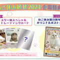 ねこ休み展 秋 2024