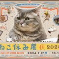 ねこ休み展 秋 2024