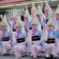 道頓堀 屋台村 祭　イメージ