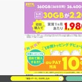 格安sim乗り換えキャンペーン2025年2月度の調査結果まとめ！お得さは人によって違った？