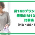 月1GBで十分？おすすめ格安SIM7選！料金・速度・通話プランを12社で徹底比較