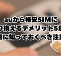 【auから格安simに乗り換え】おすすめはどこ？後悔しない手順をご紹介