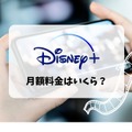 Disney+ (ディズニープラス)の月額料金は990円！支払い方法も解説！