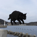 黒猫フェスティバル