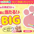 全長1.4m！ねこも入れる「肉球BIGブランケット」が当たる「ねこへ恩返し」キャンペーン