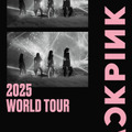 「BLACKPINK 2025 WORLD TOUR」東京公演