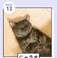 「『ねこのねかた』22選」