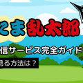 忍たま乱太郎の動画配信サービス完全ガイド｜無料で見る方法は？【25年3月最新】