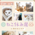 ねこ休み展