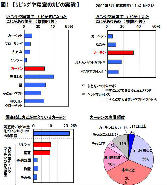 リビングや寝室のカビの実態