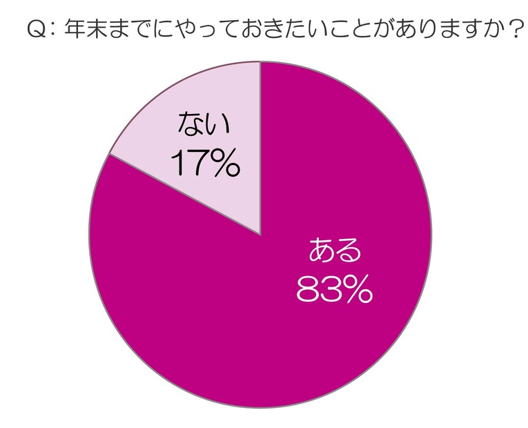 年末までにやっておきたいことがありますか？