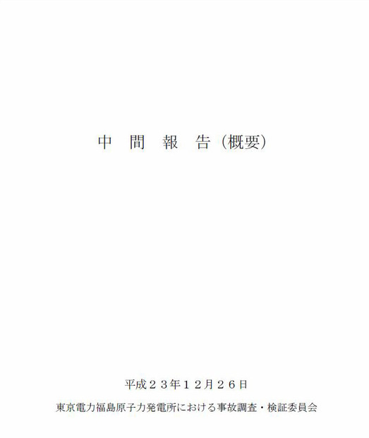 中間報告書で問題点を指摘