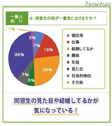 同窓生の何が一番気になりますか